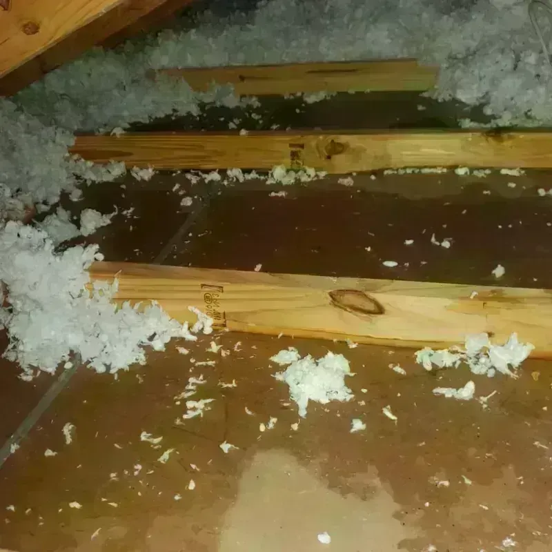 Attic Water Damage in Ortonville, MI