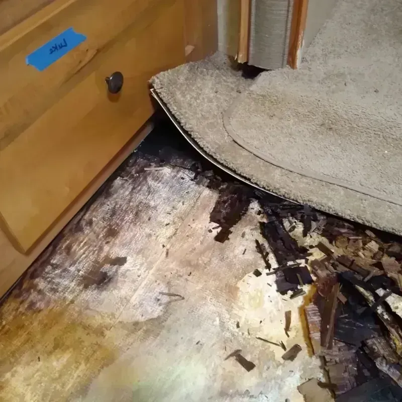 Best Wood Floor Water Damage Service in Ortonville, MI